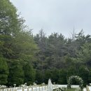 금강트럭 | 금강국민호텔 야외웨딩 준비(정보많음)