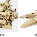 전립선 비대 환자 &#39;삶의 질&#39; 높여 참당귀황기추출복합물 이미지