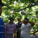 서나라농장 이미지