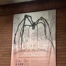 [도쿄 여행] 모리미술관 _ 루이스 부르주아 특별전 후기. (무조건 가야합니다...)