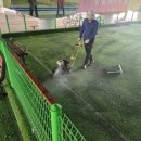 중동교 게이트볼장 이미지