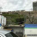 지천주유소 이미지