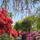 남미륵사 이미지