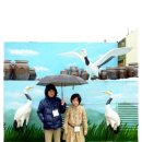 철원전기 주식회사 이미지