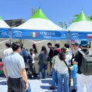 챠오 엔디엔뉴스