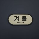 인제내린천 자작나무숲 겨울이네펜션 이미지