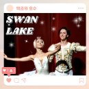 파리크라상리나스예술의전당 | 서초 예술의 전당 백조의호수 1층 S석 시야, 관람 후기
