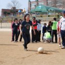 복창초등학교 이미지