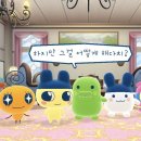 루시호텔 이미지