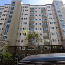 신월동197 이미지