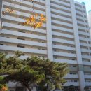 가수원로-7 이미지