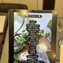 성심로 L 네이버블로그