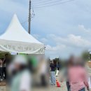 한시열농장 | 고창 청보리밭 실시간 고창 청보리밭 축제 첫날 후기(ft. 주차, 셔틀버스 등)