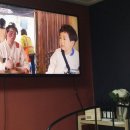 오마이갓개미