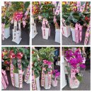 다모아의료기 이미지