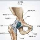 올바른 달리기 기초와 자세 1 (스트레칭과 걷기) | 틀어진 골반 바로잡기! 고관절 교정 스트레칭으로 하체 부종과 정렬 한 번에 잡기
