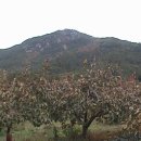 풍산농원 이미지