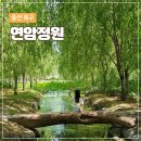 연암정보 | 울산 북구 연암정원 | 주차·통나무다리 포토존 산책코스