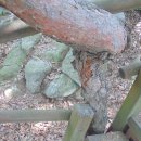 청룡공원 이미지