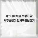 강서독일보청기 | 시그니아 독일 보청기 강서구보청기 강서독일보청기
