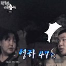 라이트라이크