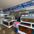 세븐일레븐 울진후포마린점 | 후포항 대게 맛집 마린수산 - 대게 광어회까지 완벽했던 한 끼