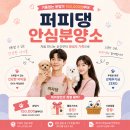퍼피댕 강아지분양 안심분양소 청주점 말티푸미니비숑토이푸들 | 익산강아지입양 가족의 생활패턴에 맞는 반려견 준비 과정