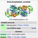 전립선 암의 생존율을 높인 것으로 평가된 PSA 효소!! 이미지