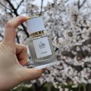 195 | 금목서향 여자향수추천 베르니엘 퍼퓸 195 오스만투스 후기