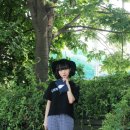 하이포레버 이미지