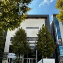 (주)에이브컴퍼니 | 대전웨딩스튜디오 추천 야외 분위기 나는 그리너리 스튜디오 대전 그레이스케일 견적 공개!