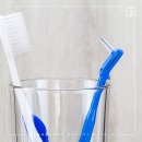 솔플란트치과의원 네이버블로그