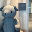 stay(스태이) | [여수여행] 신라스테이(SHILLA STAY), 내돈내산 후기(강추👍🏻)