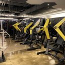 트루 휘트니스(True) 이미지