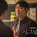 시그널그라피