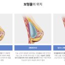 서울제일성형외과의원 이미지