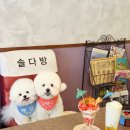 솔다방 - 임실군 봉황8길 22 | 솔다방