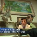 또또 이미지