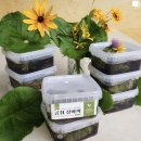 윤자농장 이미지