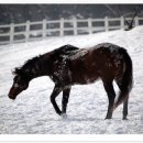 만남목장 이미지