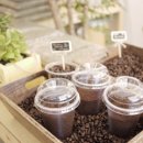 마세리아 네이버블로그