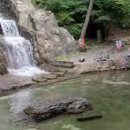 심연동 휴양림안내소 위 | 보령 성주산자연휴양림 물놀이장 개장 캠핑장 이용료 편백나무숲