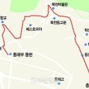 조선키네마 주식회사 이미지