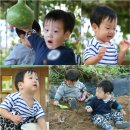 쌍둥이농장 이미지