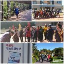 라틴팩토리와 떠나는 신나는 쿠바여행 | #남해가볼만한곳 #남해여행 #원예예술촌