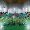 용반마을 이미지