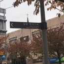 파파손돈까스 일원점 이미지