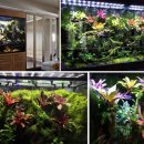 비바리움매니아 이미지