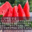 수박씨 이미지