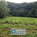 여양2로 이미지